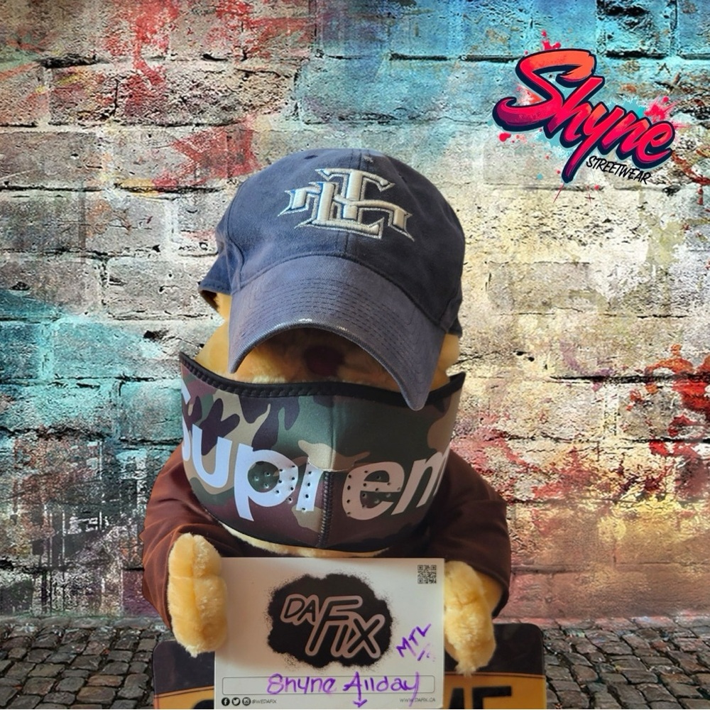 Vintage Toronto Maple Leafs Hat